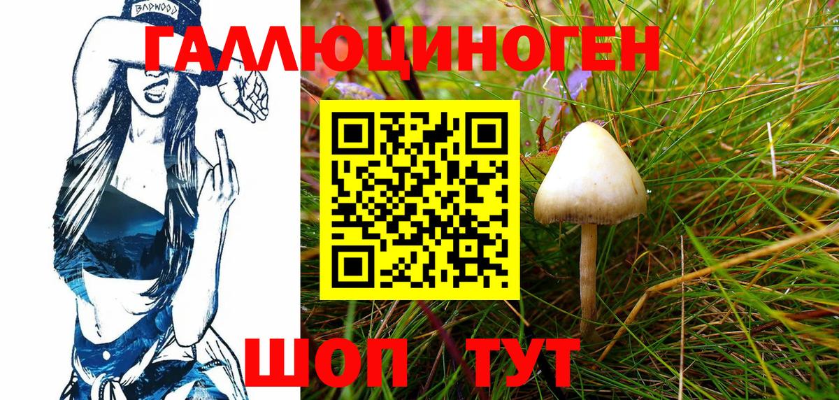 Галлюциногенные грибы Cubensis Алексеевка