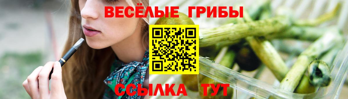 купить наркоту  Вход с VPN  Алексеевка  Псилоцибиновые грибы MAGIC MUSHROOMS 