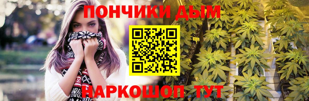 Шишки марихуана сатива Алексеевка